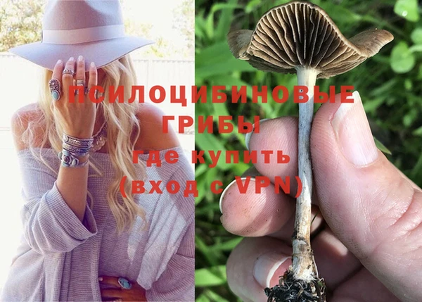 тгк Баксан