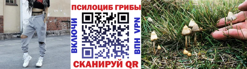 закладки  Ленинск-Кузнецкий  Галлюциногенные грибы ЛСД 